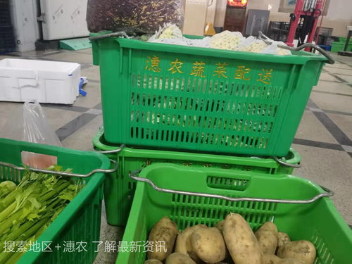 廈門市同安區(qū)蔬菜配送及9月農(nóng)產(chǎn)品供需形勢與食用農(nóng)產(chǎn)品初加工分析